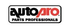 Auto pro parts professionals